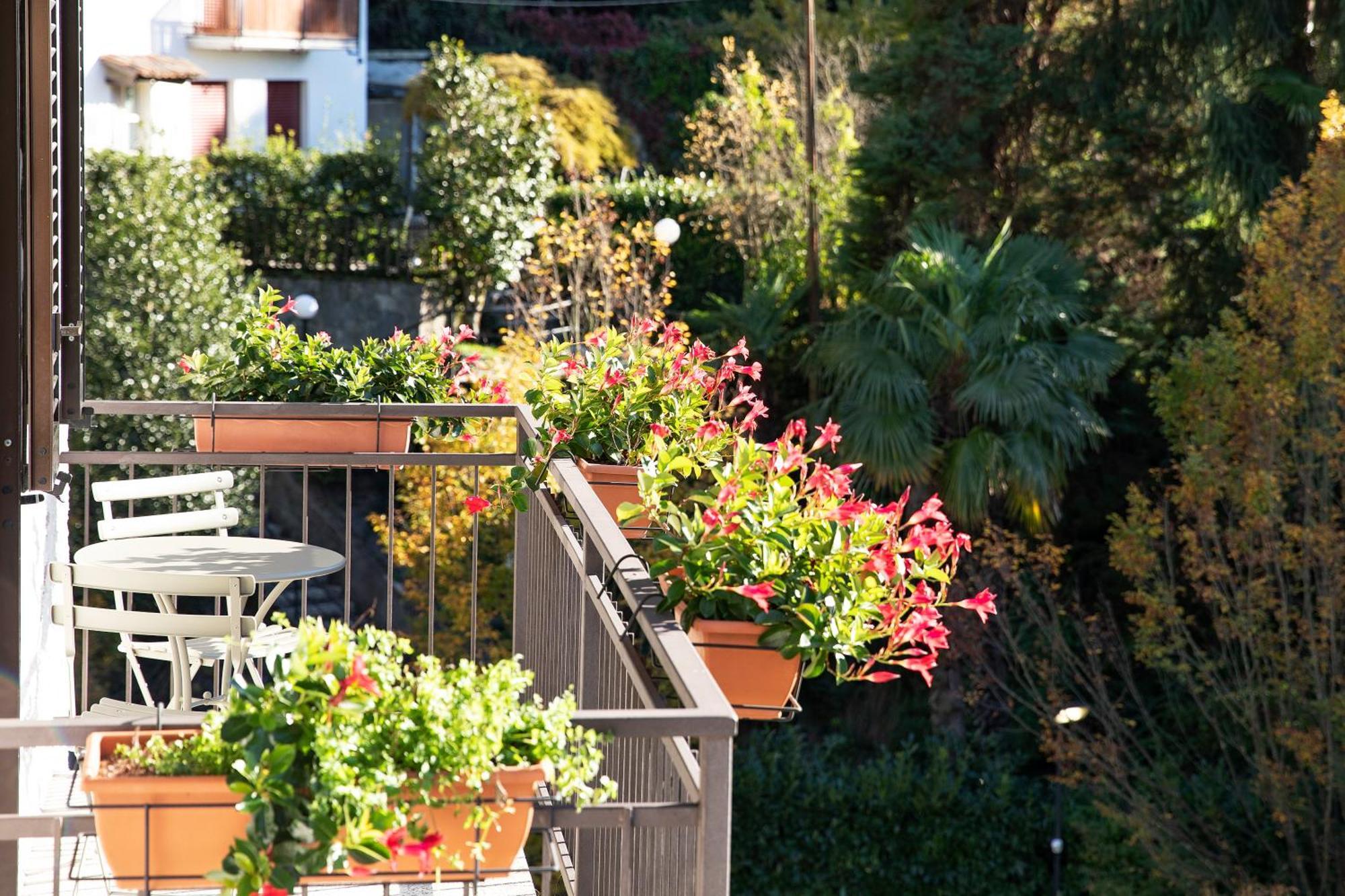 Apartment Charming Moment Di Porta - Residenza Ortensia